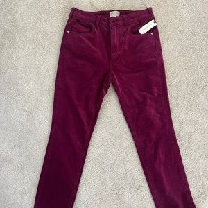 Pilcro Skinny Cords